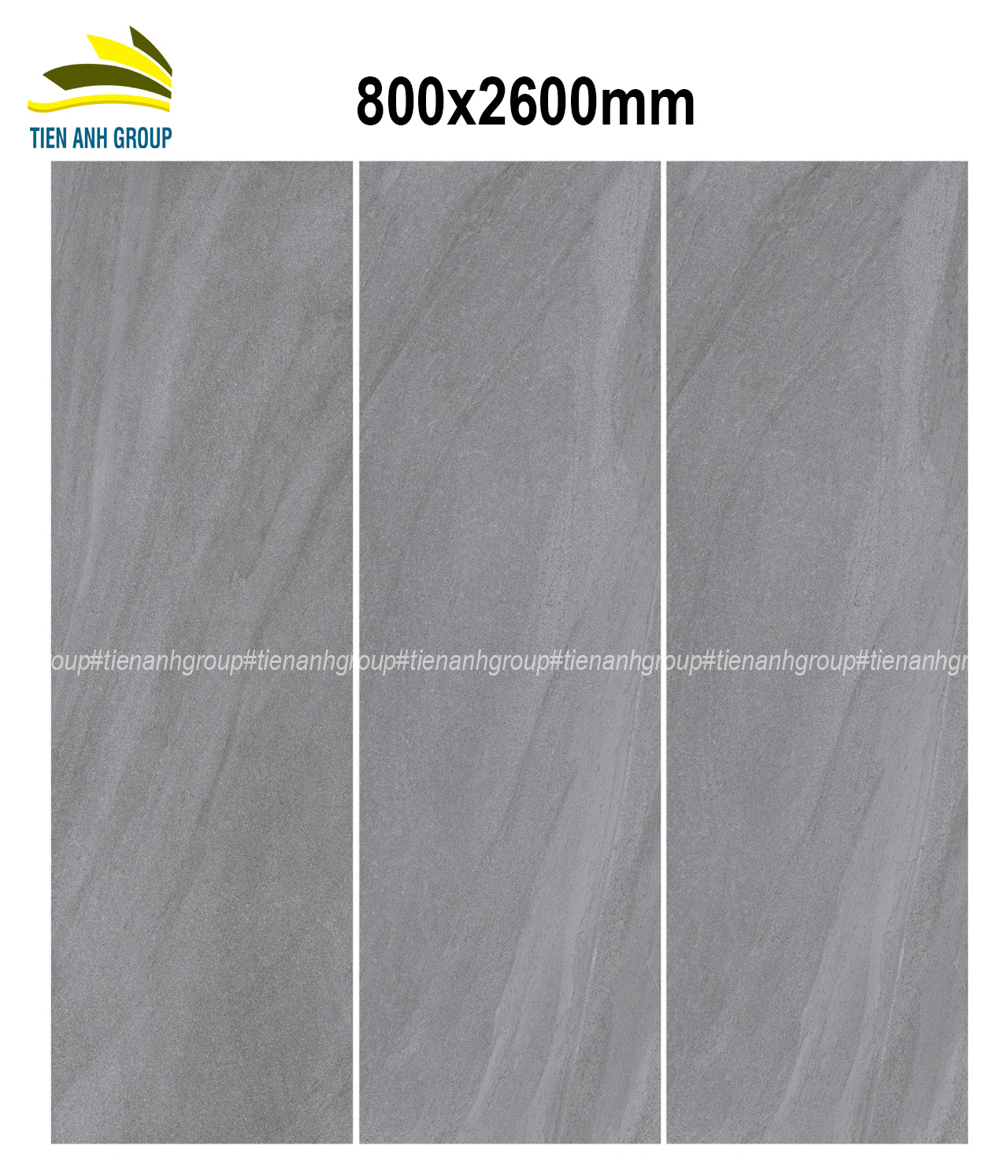 Gạch tranh tường 800x2600 01 Gạch tranh tường 800x2600 01