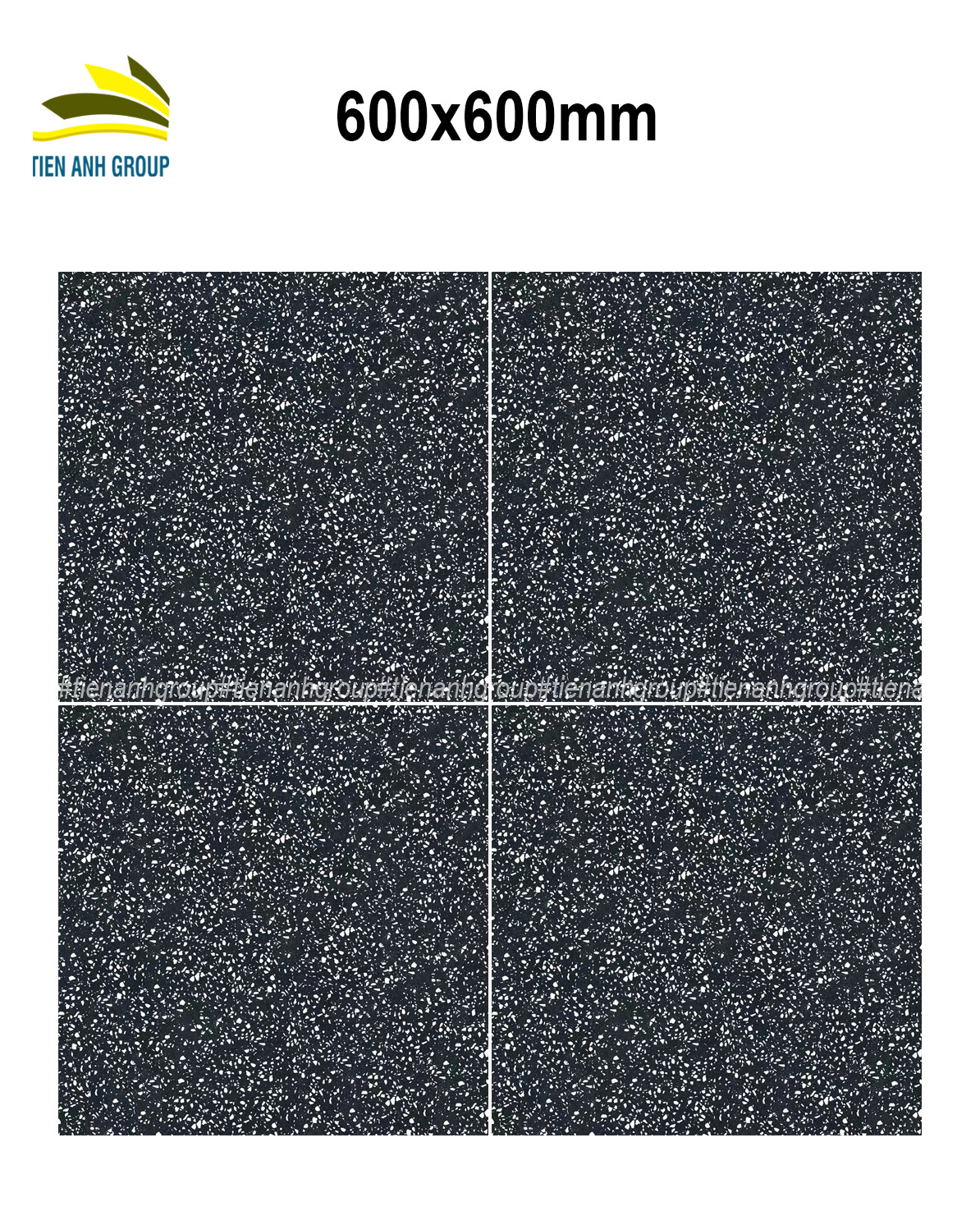 Gạch Terrazzo 60x60 018