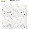 Gạch Terrazzo 60x60 014