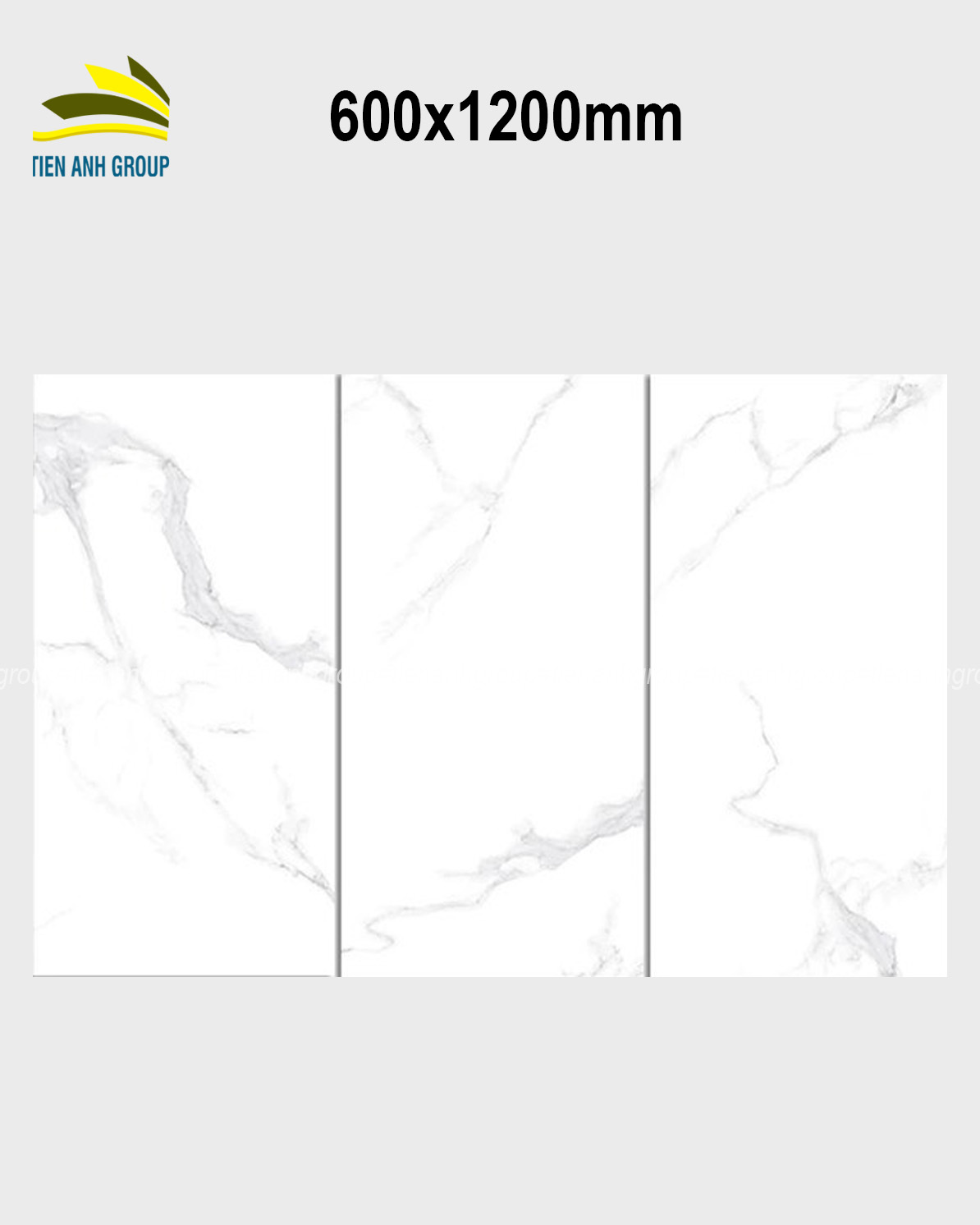 Gạch Vân Đá Marble 60×120 01