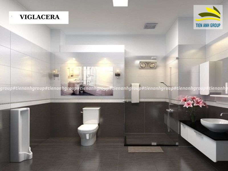 Mẫu gạch ceramic 300×600 Viglacera