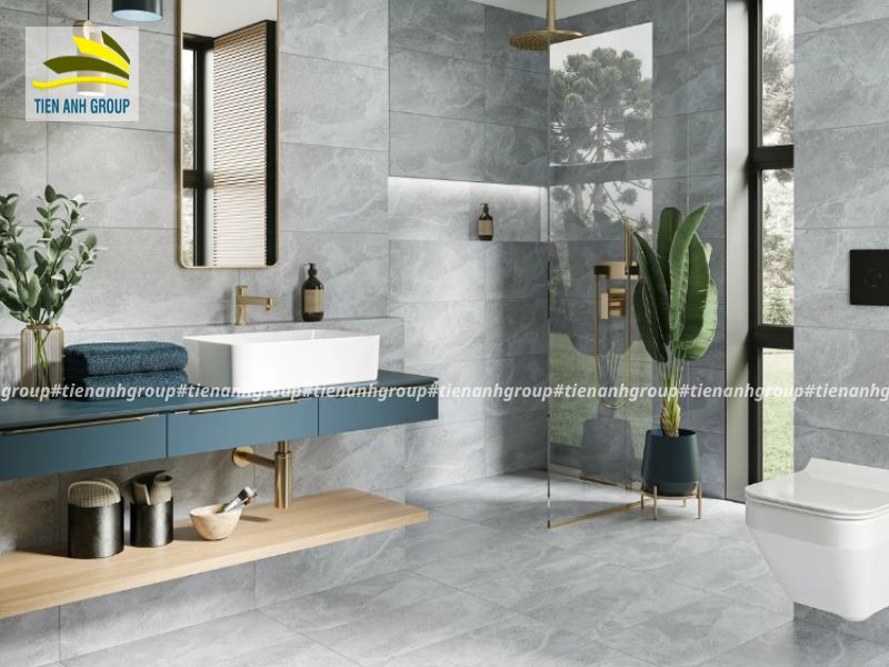 gạch ốp lát nhà vệ sinh cao cấp