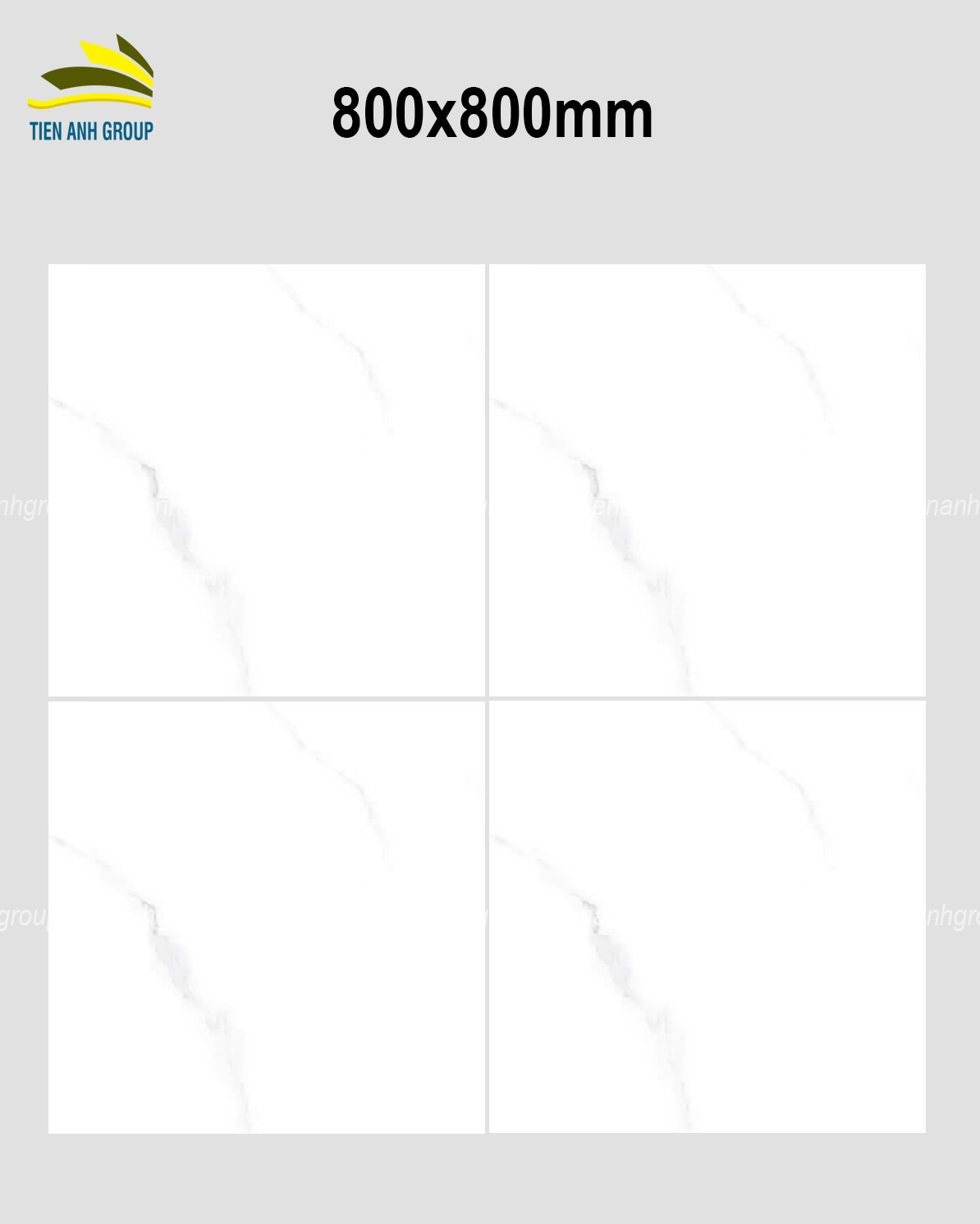 Gạch Vân Đá Marble 80x80