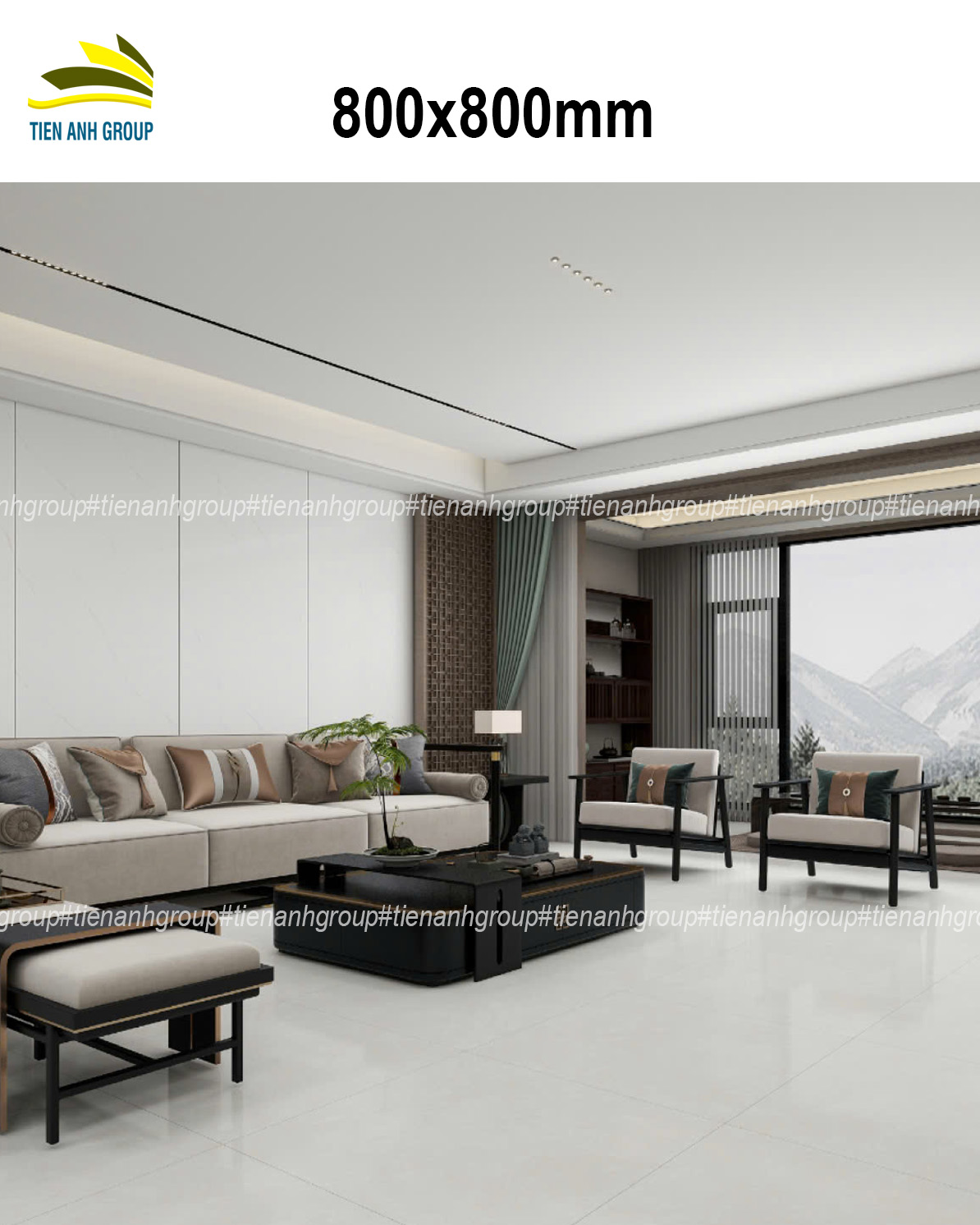 Gạch Vân Đá Marble 80x80
