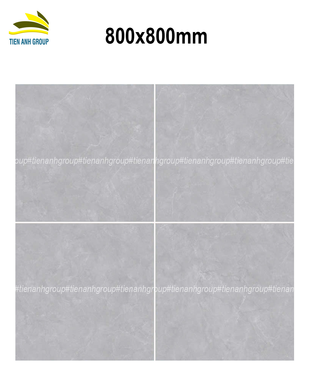 Gạch Vân Đá Marble 80x80