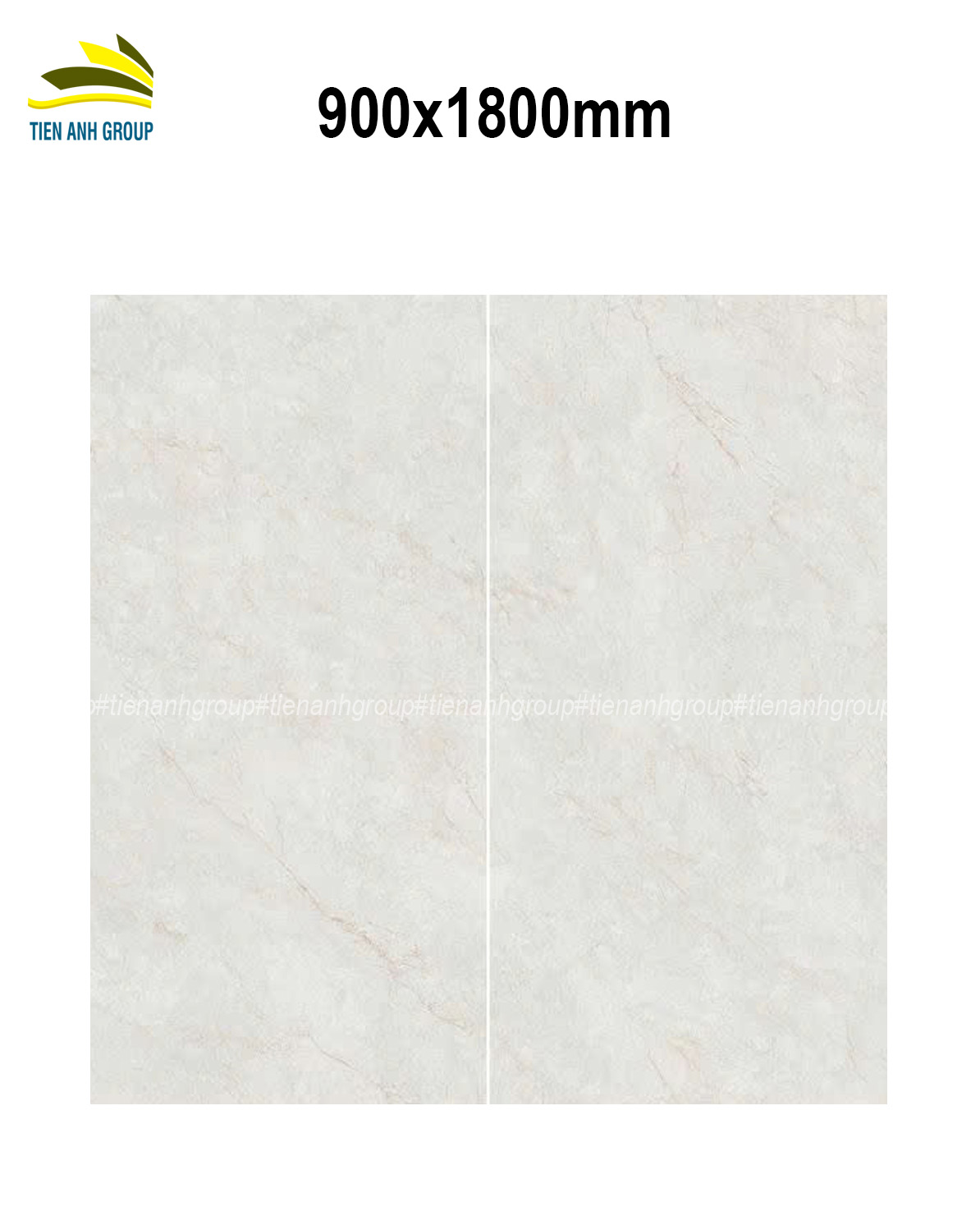 Gạch Vân Đá Marble 900x1800 92