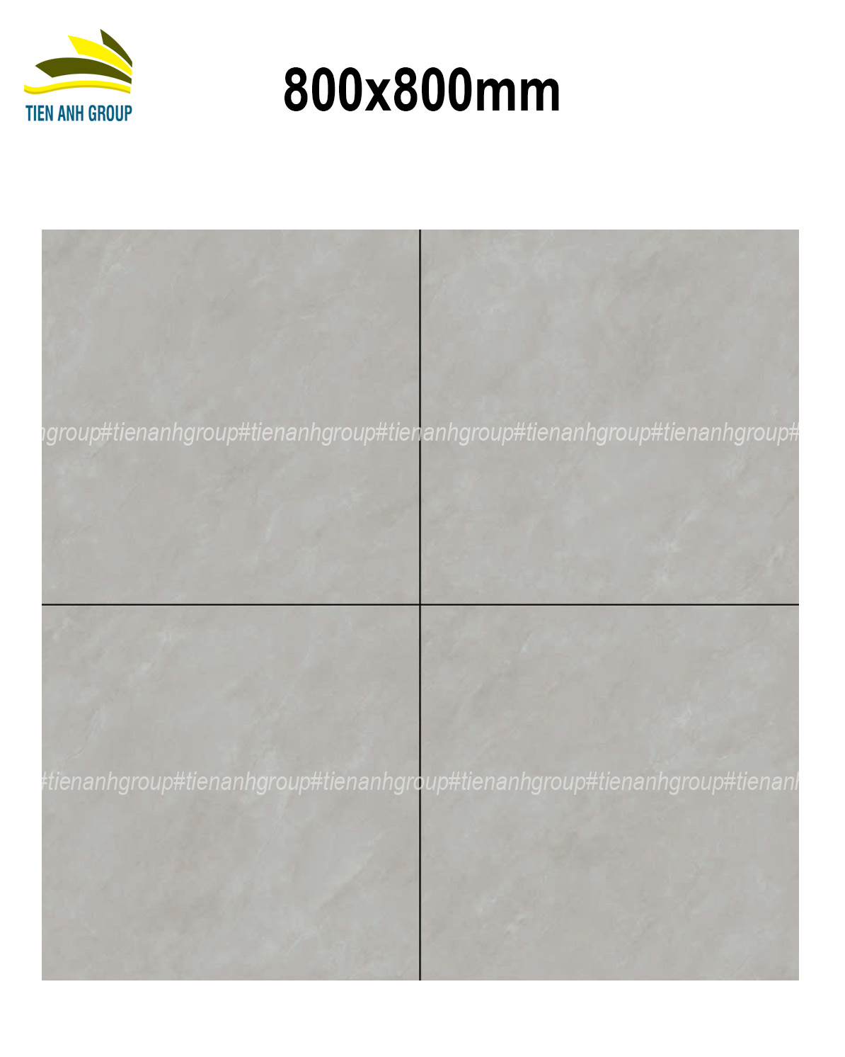 Gạch Vân Đá Marble 80x80 0189
