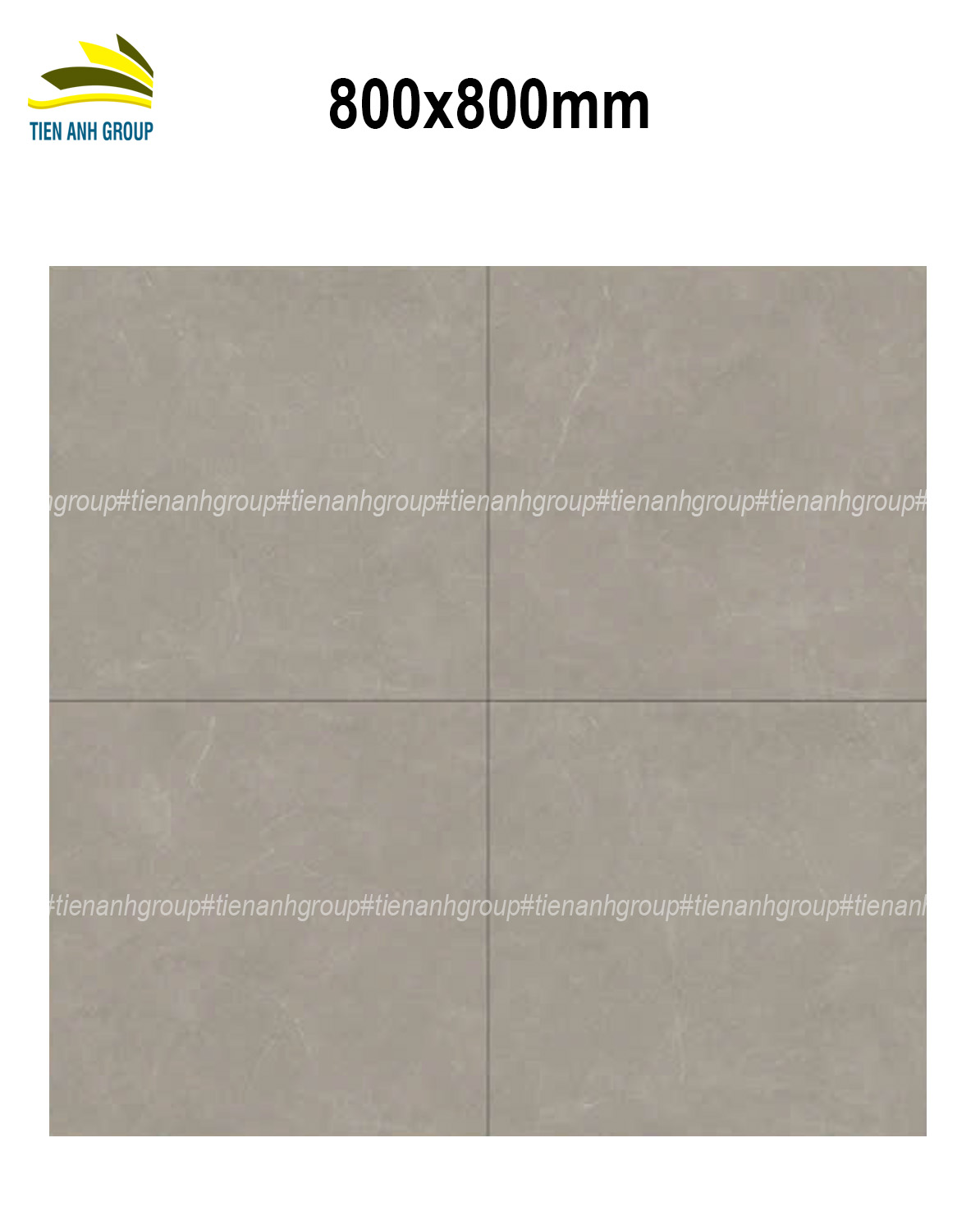 Gạch Vân Đá Marble 80x80 0182