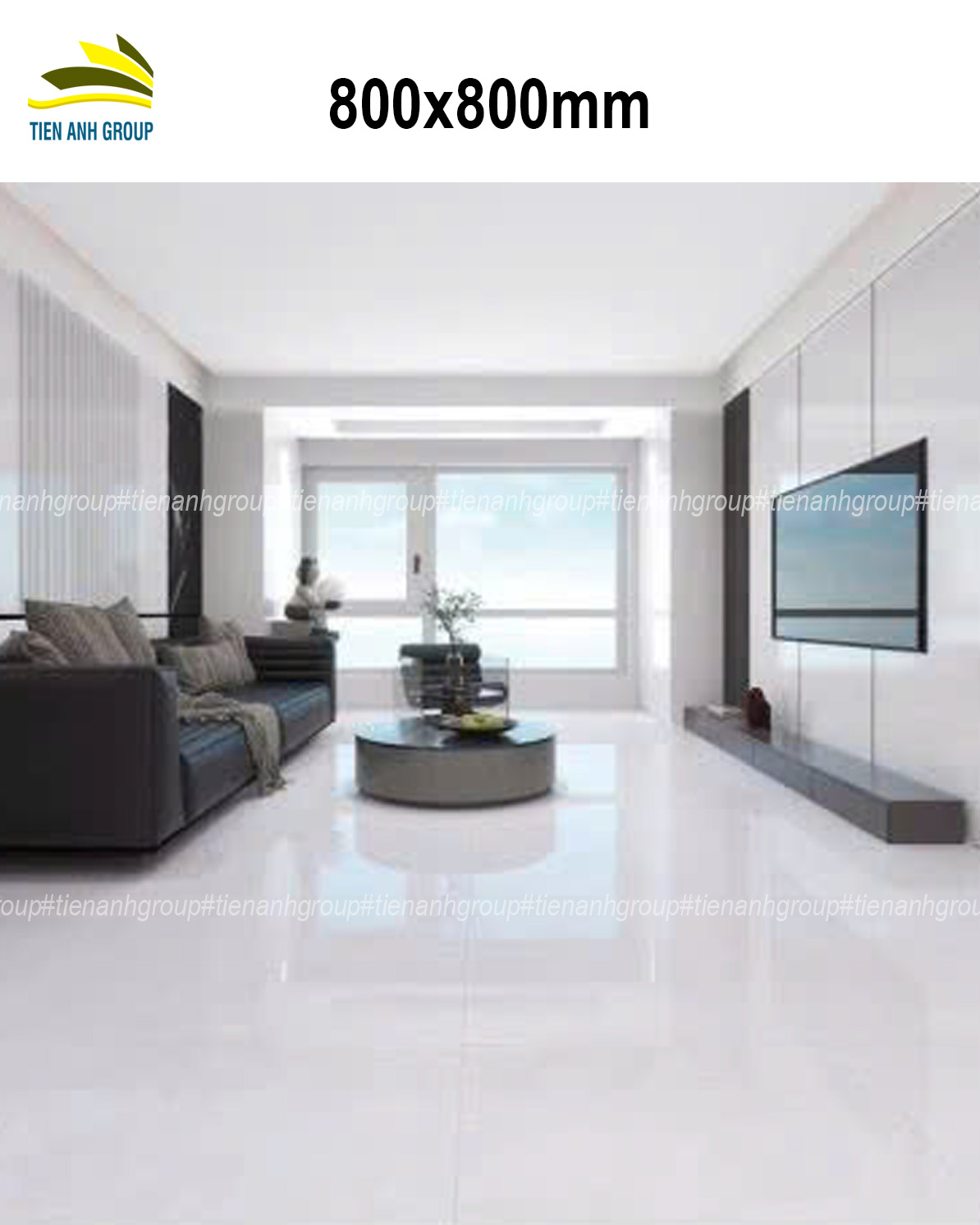 Gạch Vân Đá Marble 80x80 0179