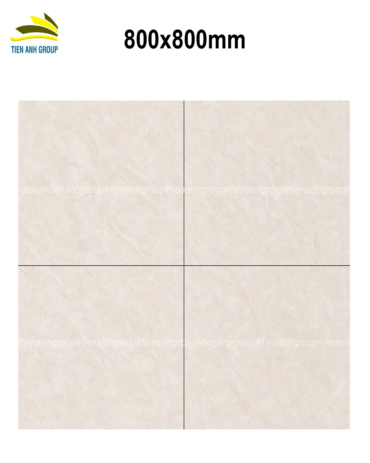 Gạch Vân Đá Marble 80x80 0172