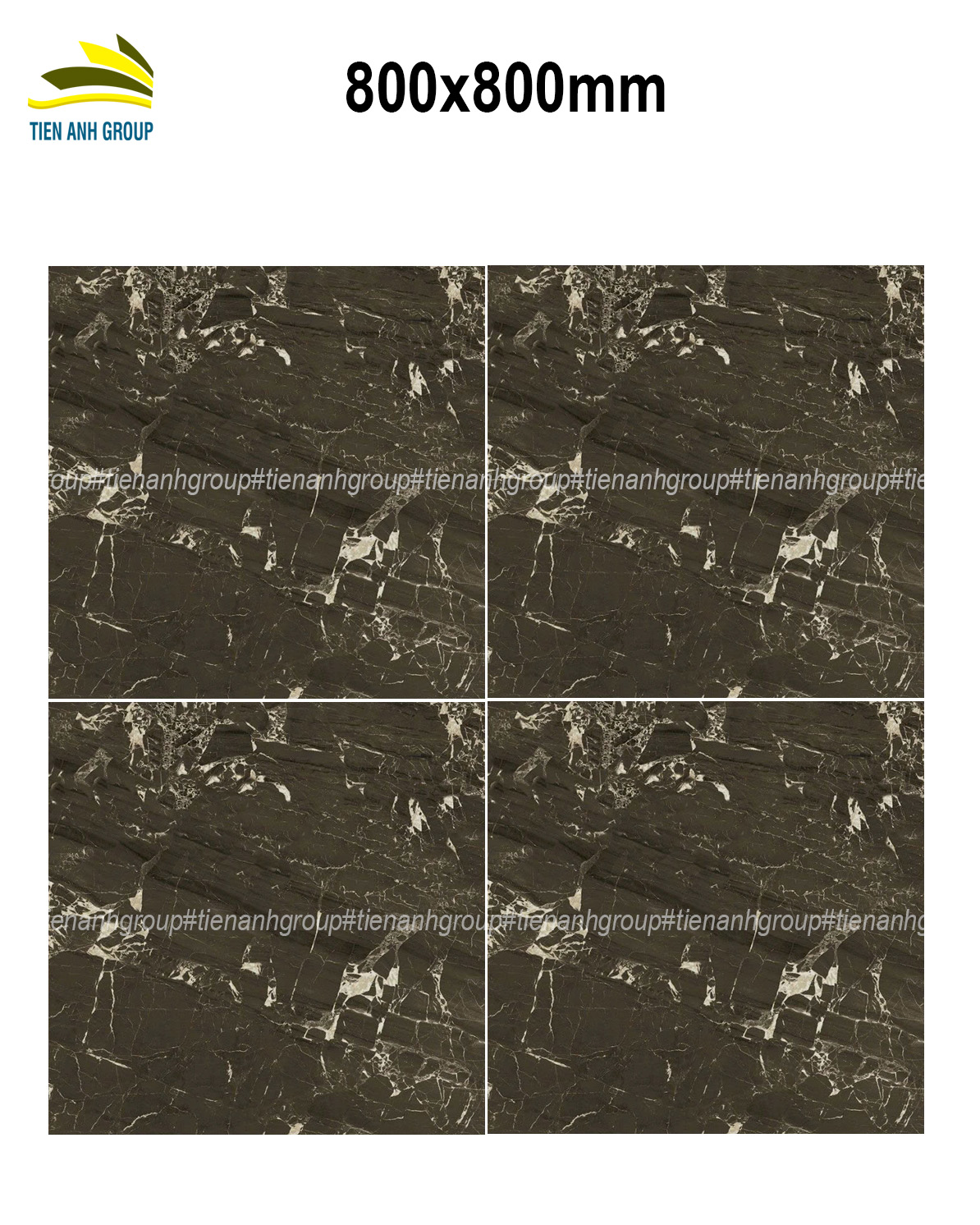 Gạch Vân Đá Marble 80x80 0195